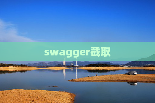 swagger截取