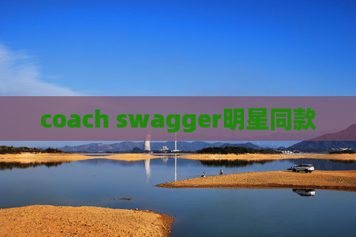 coach swagger明星同款